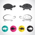 Vector group of turtle Royalty Free Stock Photo