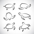 Vector group of turtle Royalty Free Stock Photo