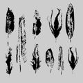 Vector Grunge Bird Feathers Set. Isolated Illustration Element. Vector Feather For Background, Texture, Wrapper Pattern