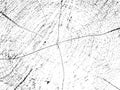 Vector grunge texture of aspen tree cross-section with cracks on organic monochrome sawn log background Royalty Free Stock Photo