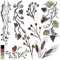 Vector grunge vintage set of floral decorative elements for design. Simple freehand drawings of twigs, spirals, spikelets, hearts Royalty Free Stock Photo