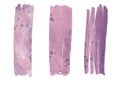 Vector grunge watercolor acrylic pink purple set of brush strokes with ink stains Royalty Free Stock Photo