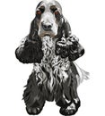 vector Gun dog English Cocker Spaniels sitting