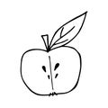 vector half apple in doodle style Royalty Free Stock Photo