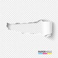 Vector half blank torn paper pieces of scroll with torn edges of hole on a transparent background for sale banner Royalty Free Stock Photo