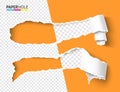 Vector half empty torn paper pieces of scroll with rip edges of hole on a half transparent background for sale banner Royalty Free Stock Photo