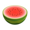 Vector half watermelon. Cute Vector illustration gradient fill isolated on white background, logo and icon. Concept of