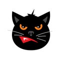 Vector Halloween Crazy Black Cat Cartoon Illustration.