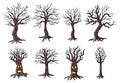 Vector Halloween hand drawn doodle objects set of creepy and spooky hangman trees illustration