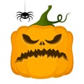 Vector Halloween pumpkin with spider. Cartoon style. Autumn symbol of a bright holiday Royalty Free Stock Photo