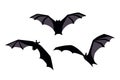 Set of three black bats. Vector illustration.