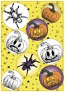 Vector Halloween sticker set of pumpkins and spider Royalty Free Stock Photo