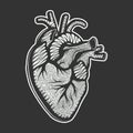 Vector hand dra style illustration for posters, decoration and print. Drawn sketch of anatomical heart in monochrome