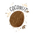 Vector hand draw coconut illustration. Brown coconuts with juice splash isolated on white background. Textured white and Royalty Free Stock Photo