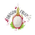 Vector hand draw colored dragon fruit illustration. White and red dragonfruit with pulp and fruit bones and green leaves