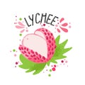 Vector hand draw colored lichee illustration. Pink, white lichee with pulp and green leaves. Fresh tropical fruits