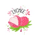 Vector hand draw colored lichee illustration. Pink, white lichee with pulp and green leaves. Fresh tropical fruits