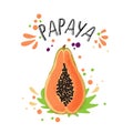 Vector hand draw colored papaya illustration. Orange, yellow papaya with pulp and fruit bones and green leaves. Fresh Royalty Free Stock Photo