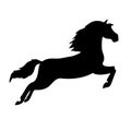 Vector hand draw dressage horse jumping silhouette
