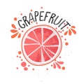 Vector hand draw grapefruit illustration. Half and slice of grapefruits with juice splashes isolated on white background Royalty Free Stock Photo