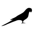 Vector hand draw Indian ringneck parrot silhouette Royalty Free Stock Photo