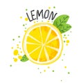 Vector hand draw lemon illustration. Half and slice of lemons with juice splashes isolated on white background. Textured