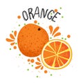 Vector hand draw orange illustration. Slice of orange with juice splashes isolated on white background. Textured orange