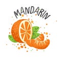 Vector hand draw orange mandarin illustration. Slice of orange tangerine with juice splashes isolated on white