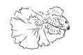 Vector Hand Draw Outline, Betta, Siamese fighting Fish or cupang, isolated on white