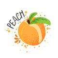 Vector Hand Draw Peach Illustration. Orange Ripe Peaches With Juice Splash Isolated On White Background. Textured Peach