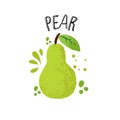 Vector hand draw pear illustration. Green pear with juice splashes isolated on white background. Textured green pears Royalty Free Stock Photo