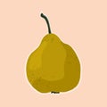 Vector hand draw pear illustration.