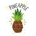 Vector hand draw pineapple illustration. Yellow ripe pine apple with juice splash isolated on white background. Textured Royalty Free Stock Photo