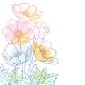 Vector hand drawing corner bouquet with outline Anemone flower or Windflower, bud and leaf in pastel colored isolated on white. Royalty Free Stock Photo