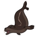 Vector hand drawing eared seal Royalty Free Stock Photo