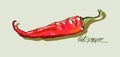 Vector hand drawing red hot peppers Royalty Free Stock Photo