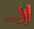 Vector hand drawing red hot peppers Royalty Free Stock Photo