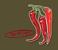 Vector hand drawing red hot peppers Royalty Free Stock Photo