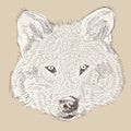 Vector hand drawing wolf head