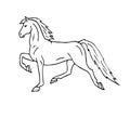 Vector hand drawn American Saddlebred horse Royalty Free Stock Photo