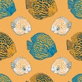 Vector hand drawn angelfish seamless pattern print background. Royalty Free Stock Photo