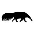 Vector hand drawn anteater silhouette