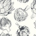 Vector hand drawn artichoke illustration. Food collection