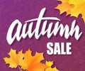 Vector hand drawn autumn lettering sale label with leaves on doodle brunches background