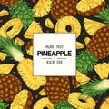 Vector hand drawn banner with organic whole pineapple, slices pieces, half and seed