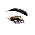 Vector Hand drawn beautiful female eye with long black eyelashes, golden eyeshadow and brows.