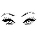 Vector Hand drawn beautiful female eyes with long black eyelashes and brows. Royalty Free Stock Photo