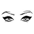 Vector Hand drawn beautiful female eyes with long black eyelashes and brows. Royalty Free Stock Photo