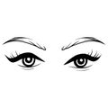 Vector Hand drawn beautiful female eyes with long black eyelashes and brows. Royalty Free Stock Photo