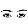 Vector Hand drawn beautiful female eyes with long black eyelashes and brows. Royalty Free Stock Photo